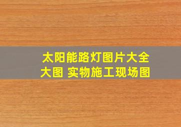 太阳能路灯图片大全大图 实物施工现场图